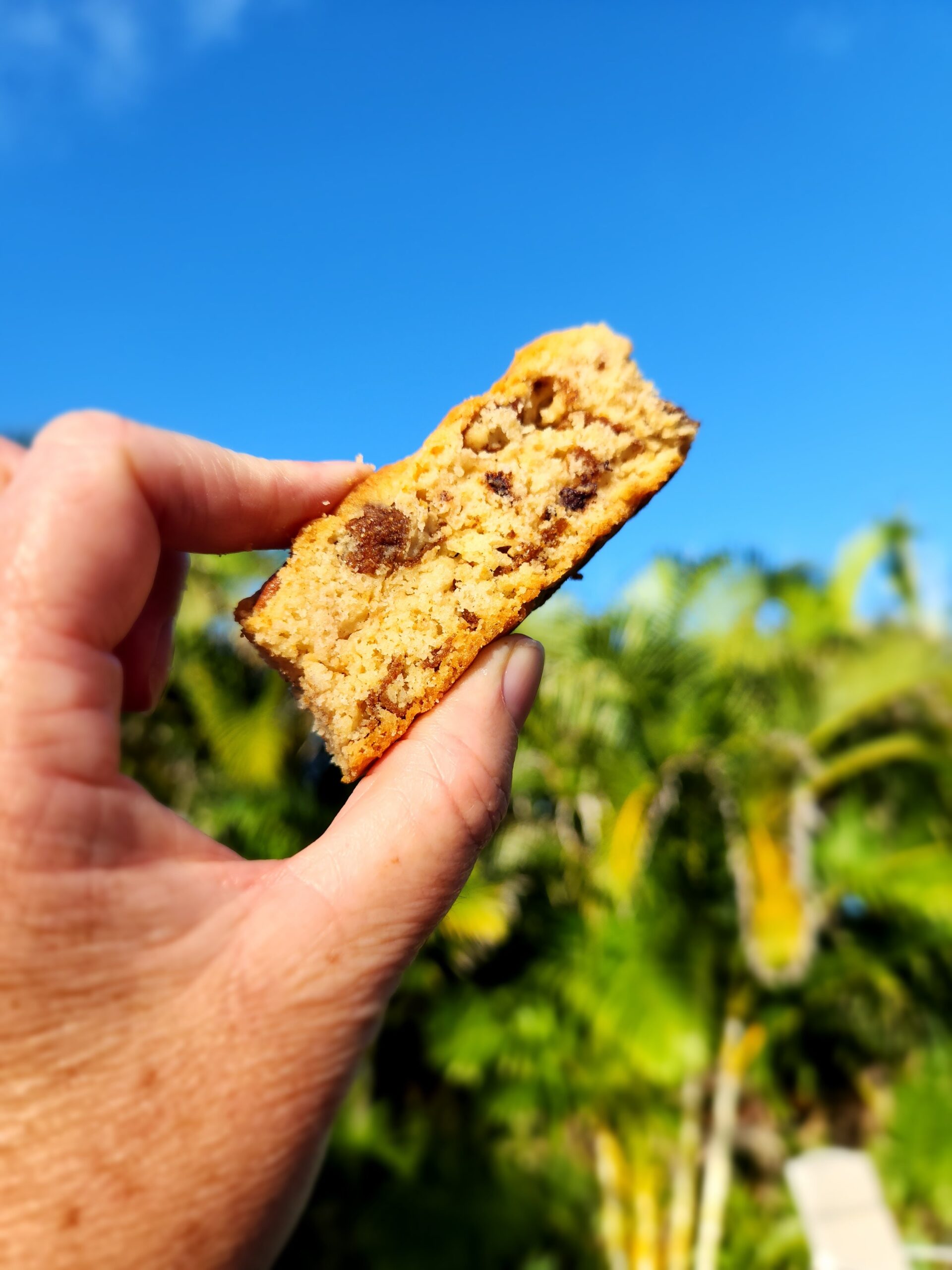 Pecan and dark choc rusks